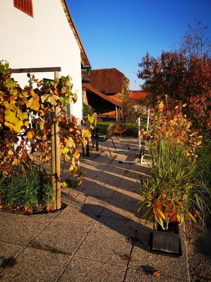 Ferienwohnungen Und Appartements Im Idyllischen Vierkanthof, Gruppenurlaube Fürstenfeld Kültér fotó